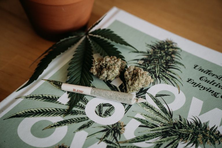 Cannabis-Jugendschutz-Sanitygroup-Blog-shelby-ireland-unsplash