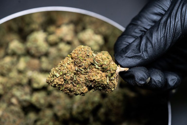 Was ist CBD SanityGroup Blog