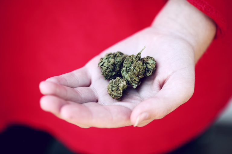 Sanity Group Blog Pilotprojekte zur Legalisierung