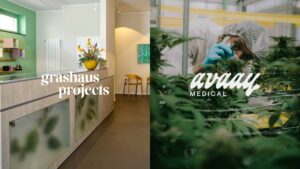 Sanity Group Grashaus Projects avaay Medical