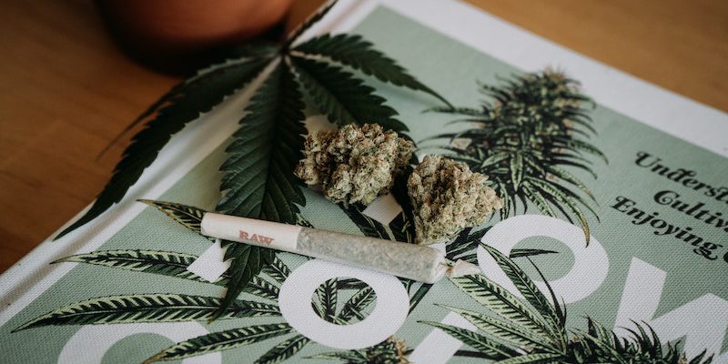 Cannabis-Jugendschutz-Sanitygroup-Blog-shelby-ireland-unsplash