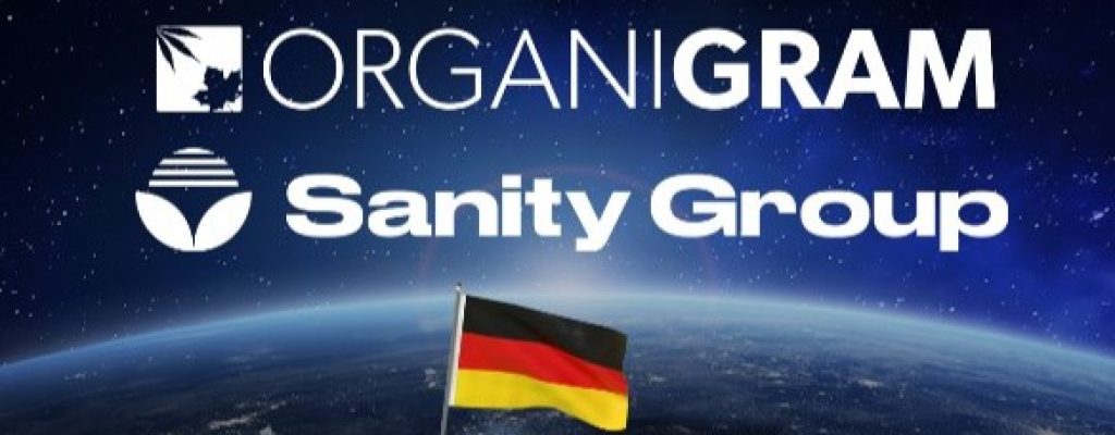 Organigram_Sanity Group_June 2024