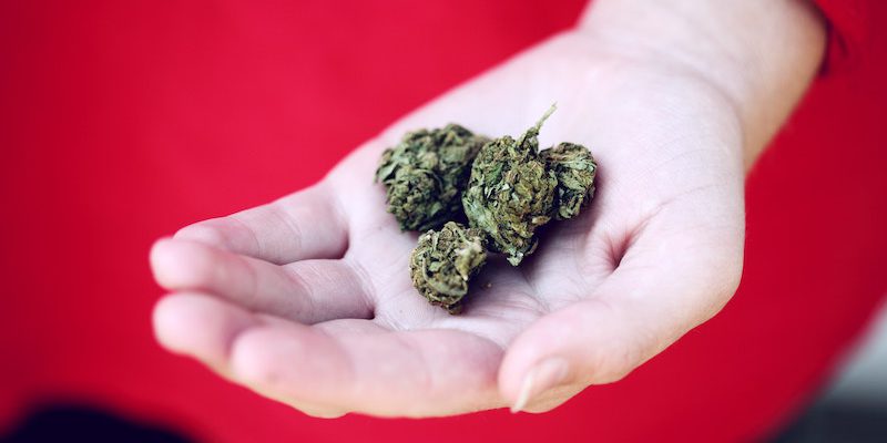 Sanity Group Blog Pilotprojekte zur Legalisierung