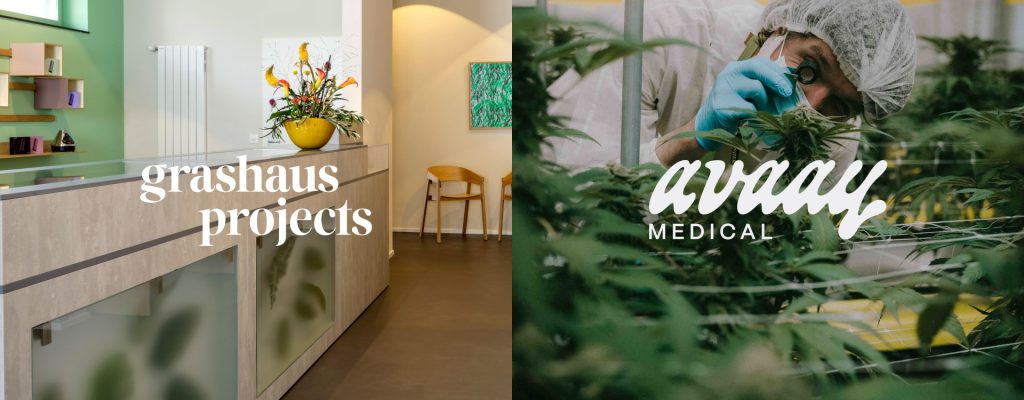 Sanity Group Grashaus Projects avaay Medical