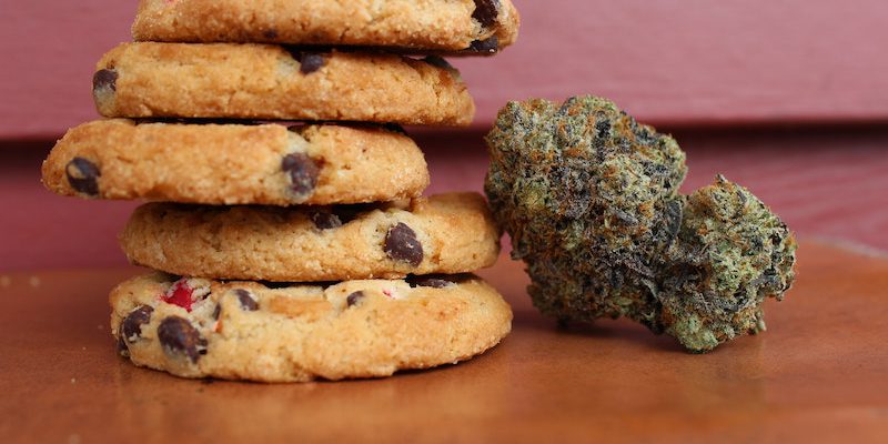 Sanity group Blog legalisierung Edibles