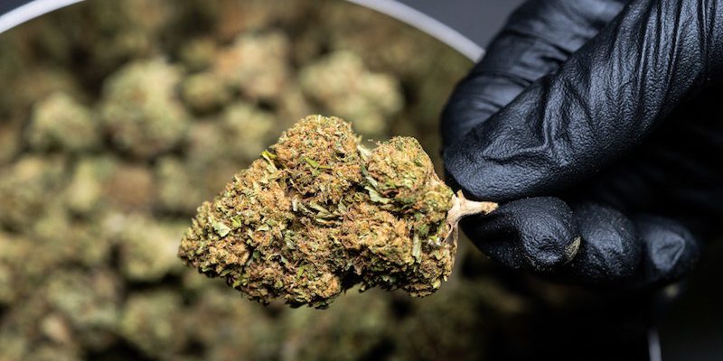 Was ist CBD SanityGroup Blog