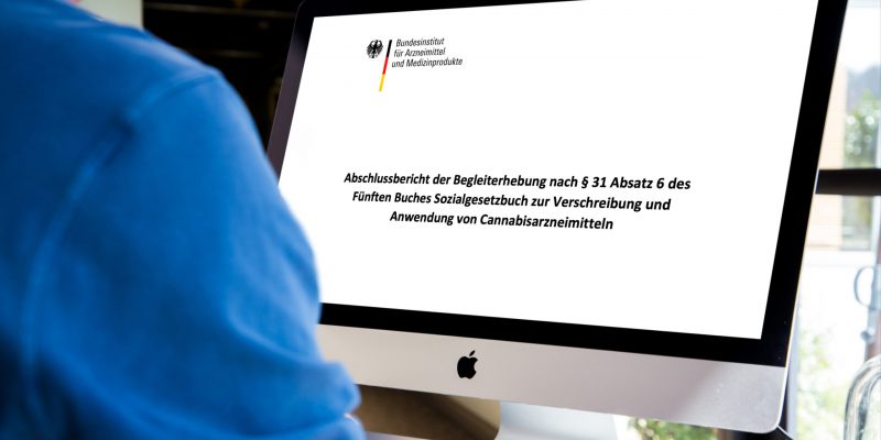 Mann liest BfArM-Cannabis-Begleiterhebung am Computer-Bildschirm.